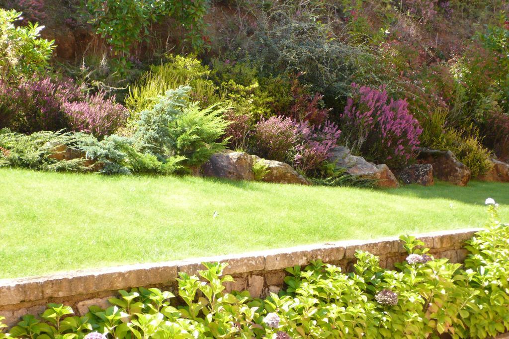 Quinta Dos Castanheiros Bed And Breakfast Ponte de Lima Eksteriør billede