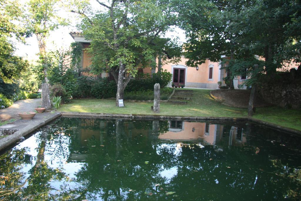 Quinta Dos Castanheiros Bed And Breakfast Ponte de Lima Eksteriør billede