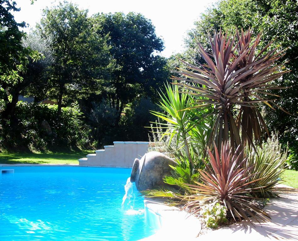 Quinta Dos Castanheiros Bed And Breakfast Ponte de Lima Eksteriør billede